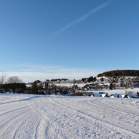 Landfein Big Country House Winterberg Bagian luar foto