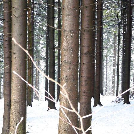 Landfein Big Country House Winterberg Bagian luar foto