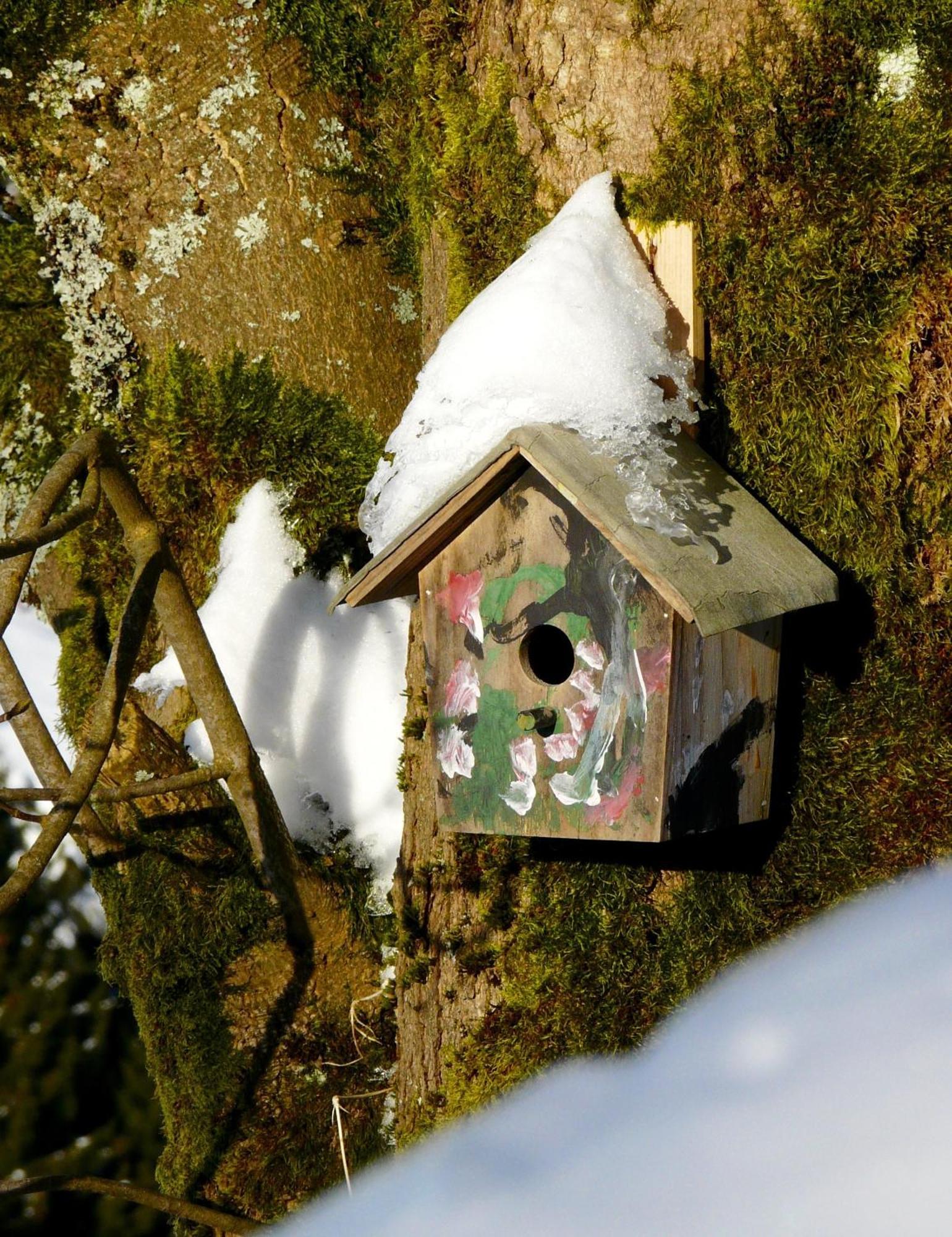 Landfein Big Country House Winterberg Bagian luar foto