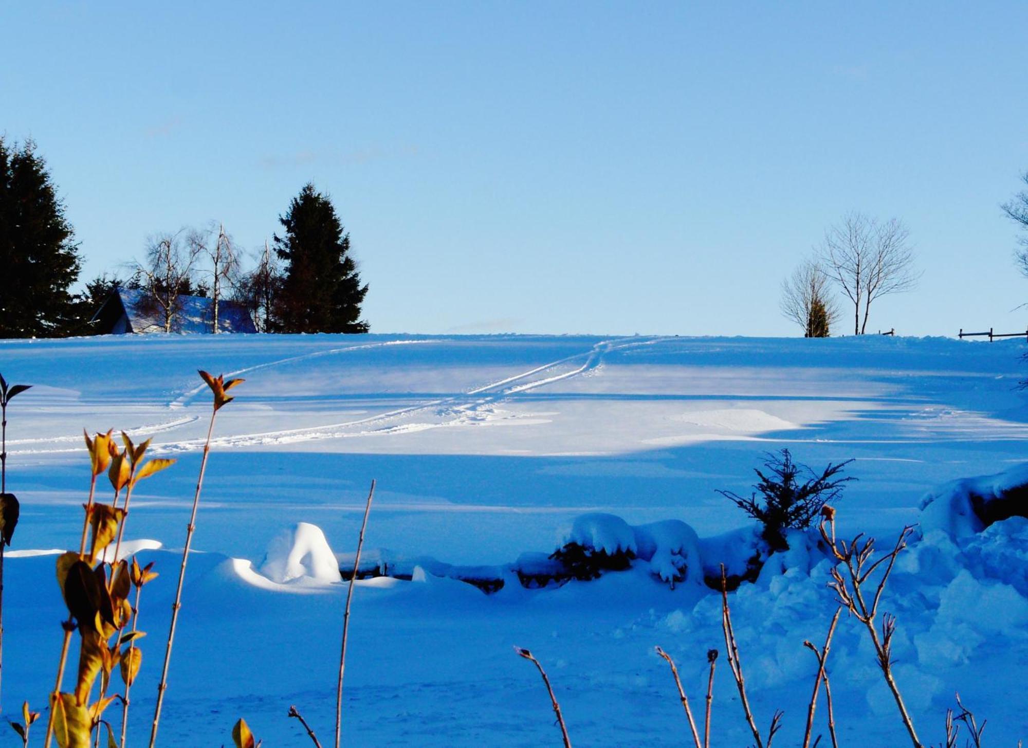 Landfein Big Country House Winterberg Bagian luar foto