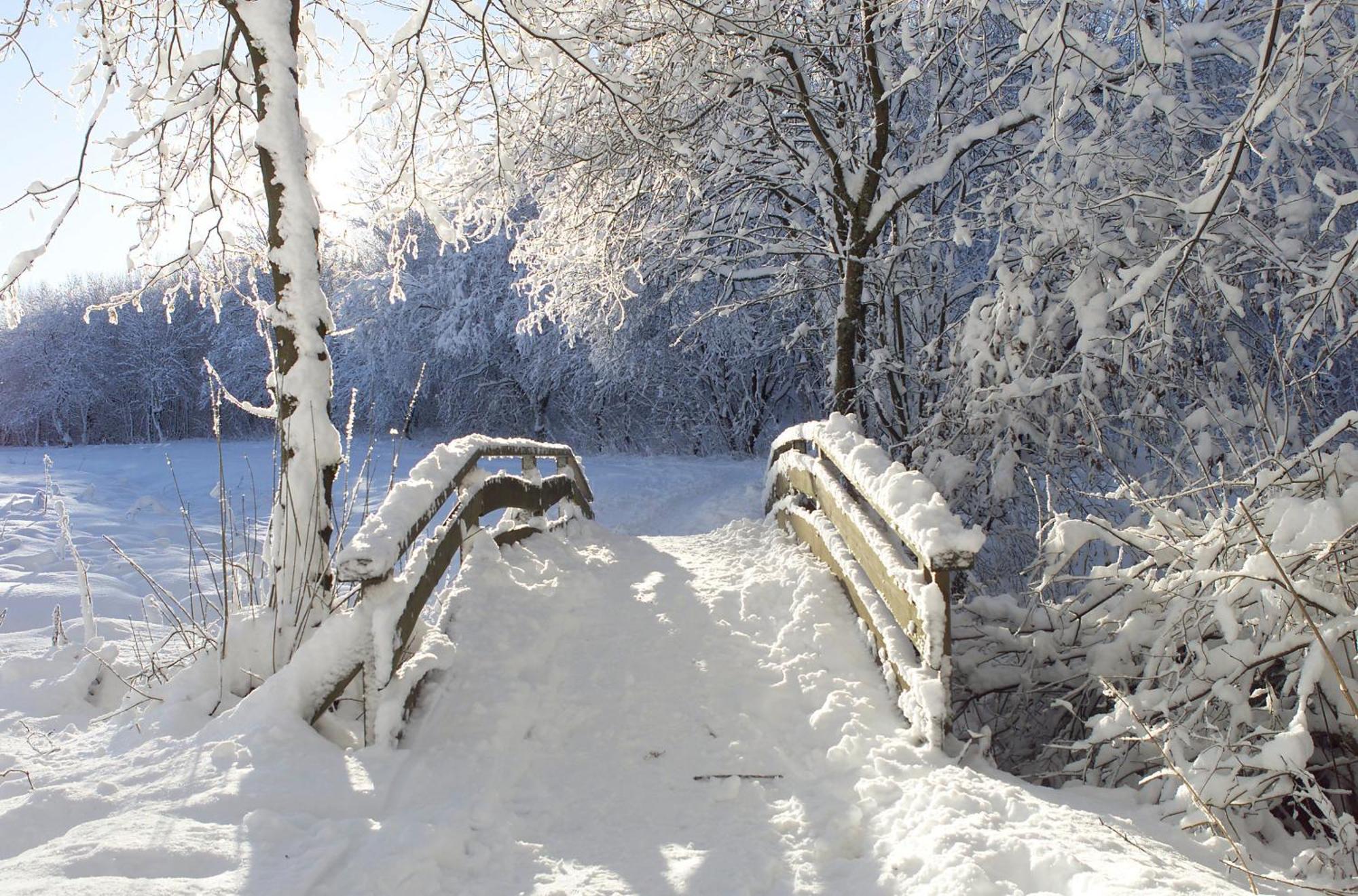 Landfein Big Country House Winterberg Ruang foto